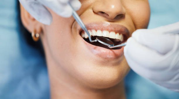 Best 24-Hour Emergency Dental Care in Mcadenville, NC
